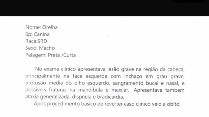 Luísa Mell divulgou o laudo clínico