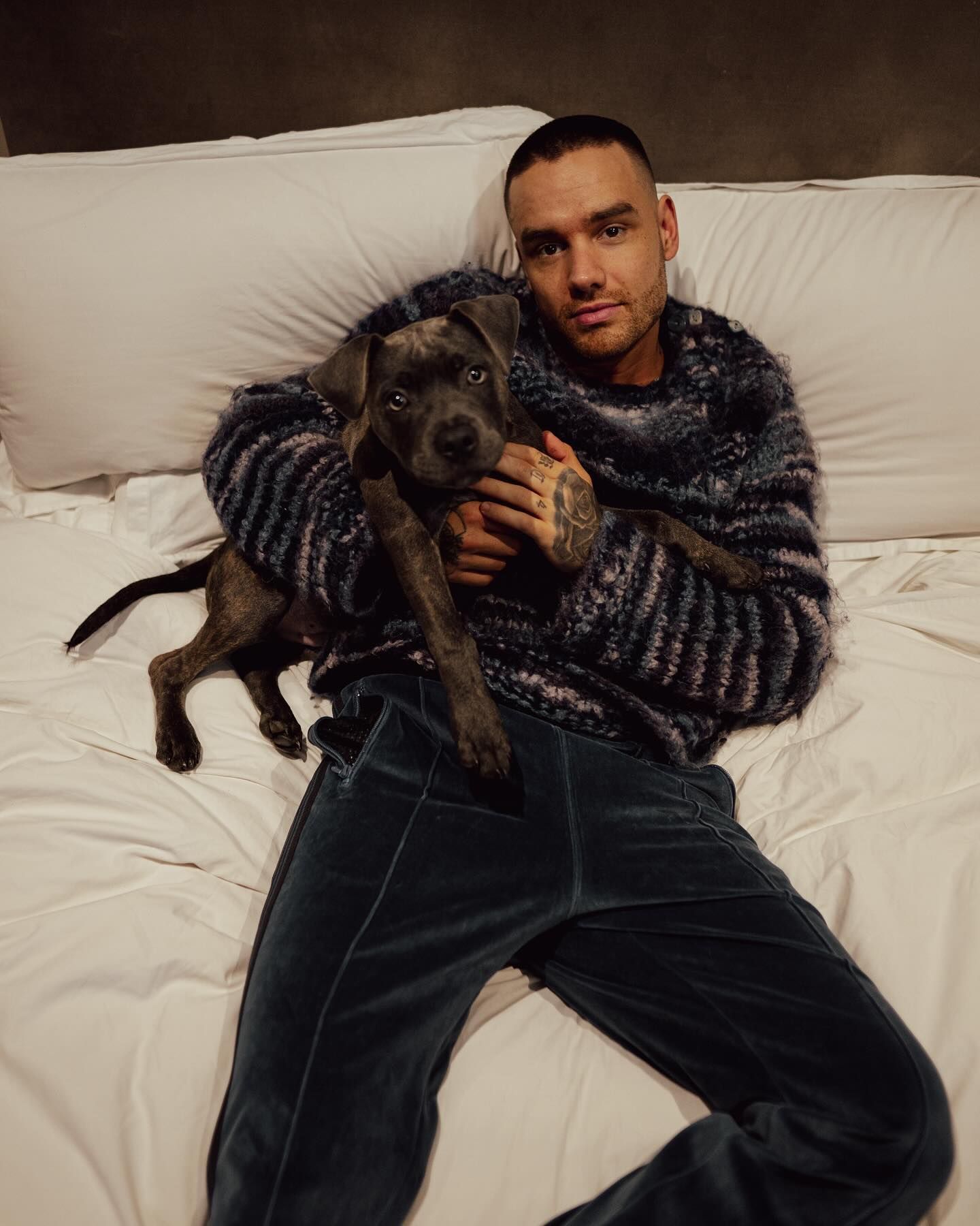 Morto aos 31 anos, Liam Payne cancelou show no Brasil no ano passado