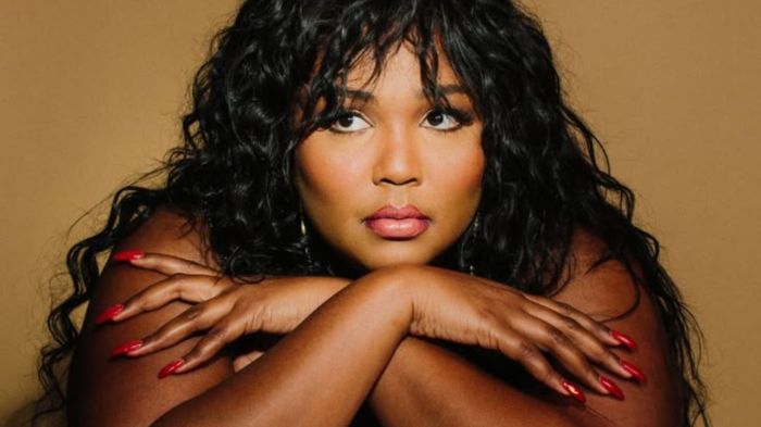 Lizzo: o som da positividade e o estilo que reflete autoestima Lizzo: o som da positividade e o estilo que reflete autoestima