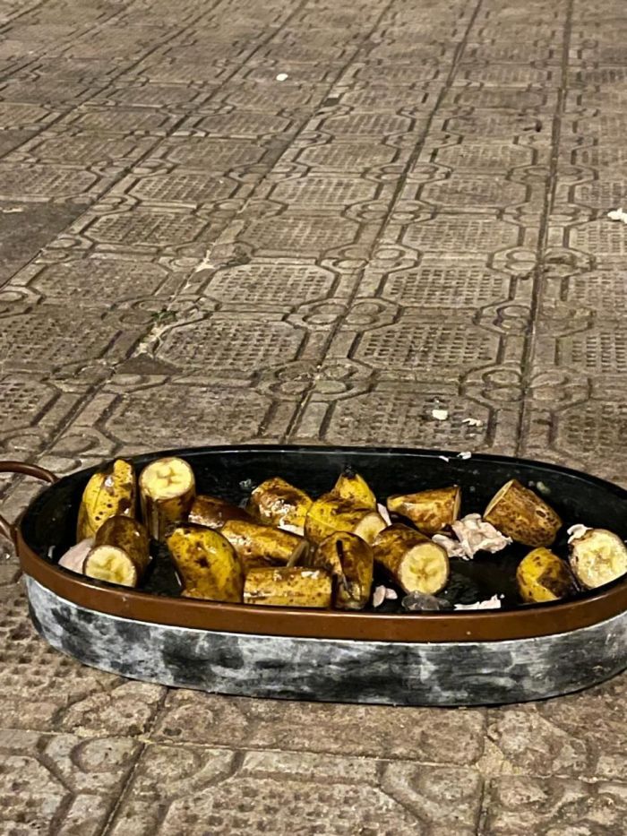 Prato servido aos animais