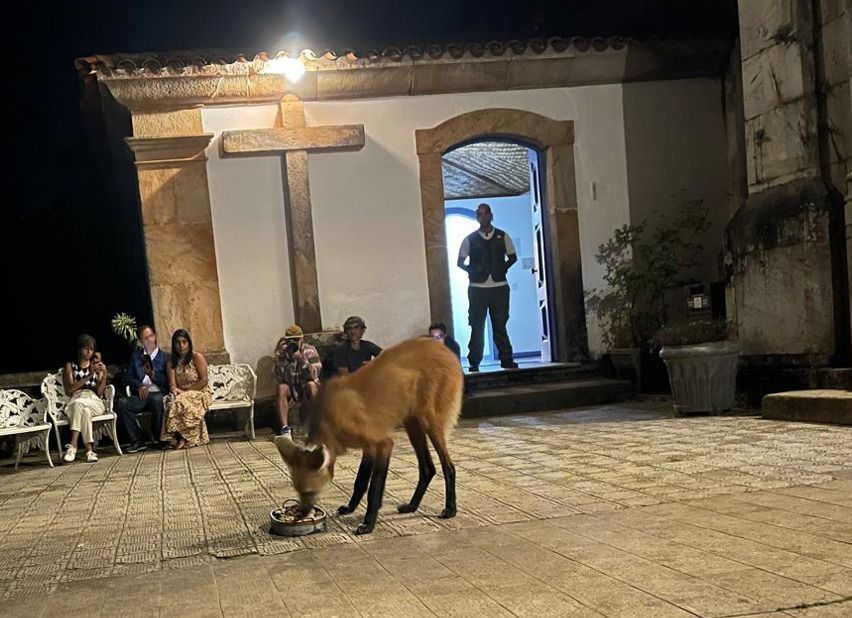 Janta do lobo-guará é atração imperdível no Santuário do Caraça