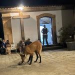 Janta do lobo-guará é atração imperdível no Santuário do Caraça