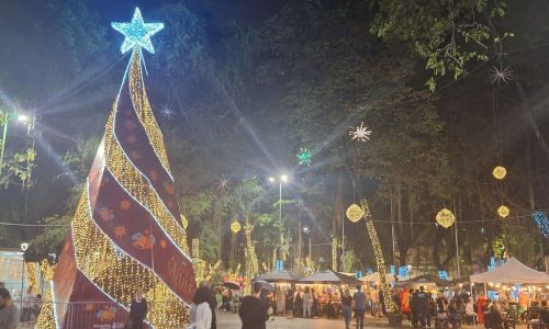 Luzes de Natal 2024 foram inauguradas no Parque Halfeld, em Juiz de Fora