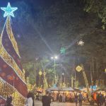 Papai Noel em trenó puxado por capivaras: iluminação inspira 'Sonhos de Natal' em Juiz de Fora