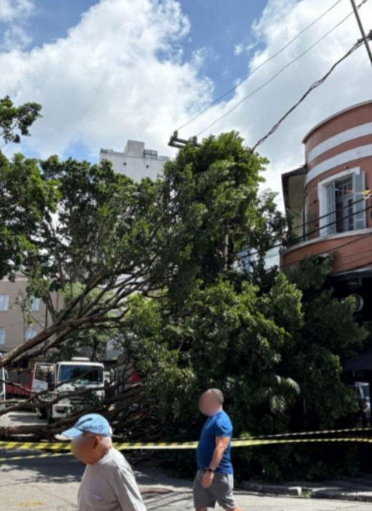 Mais de 300 voos são cancelados em SP após ventania causar caos em Congonhas e Guarulhos