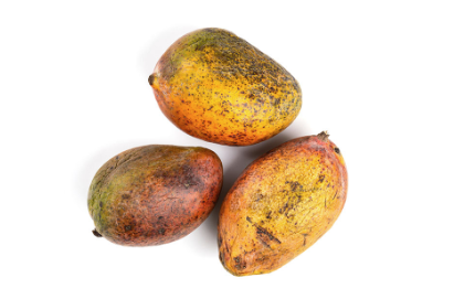 Manchas na casca das mangas são indicativos de fungos