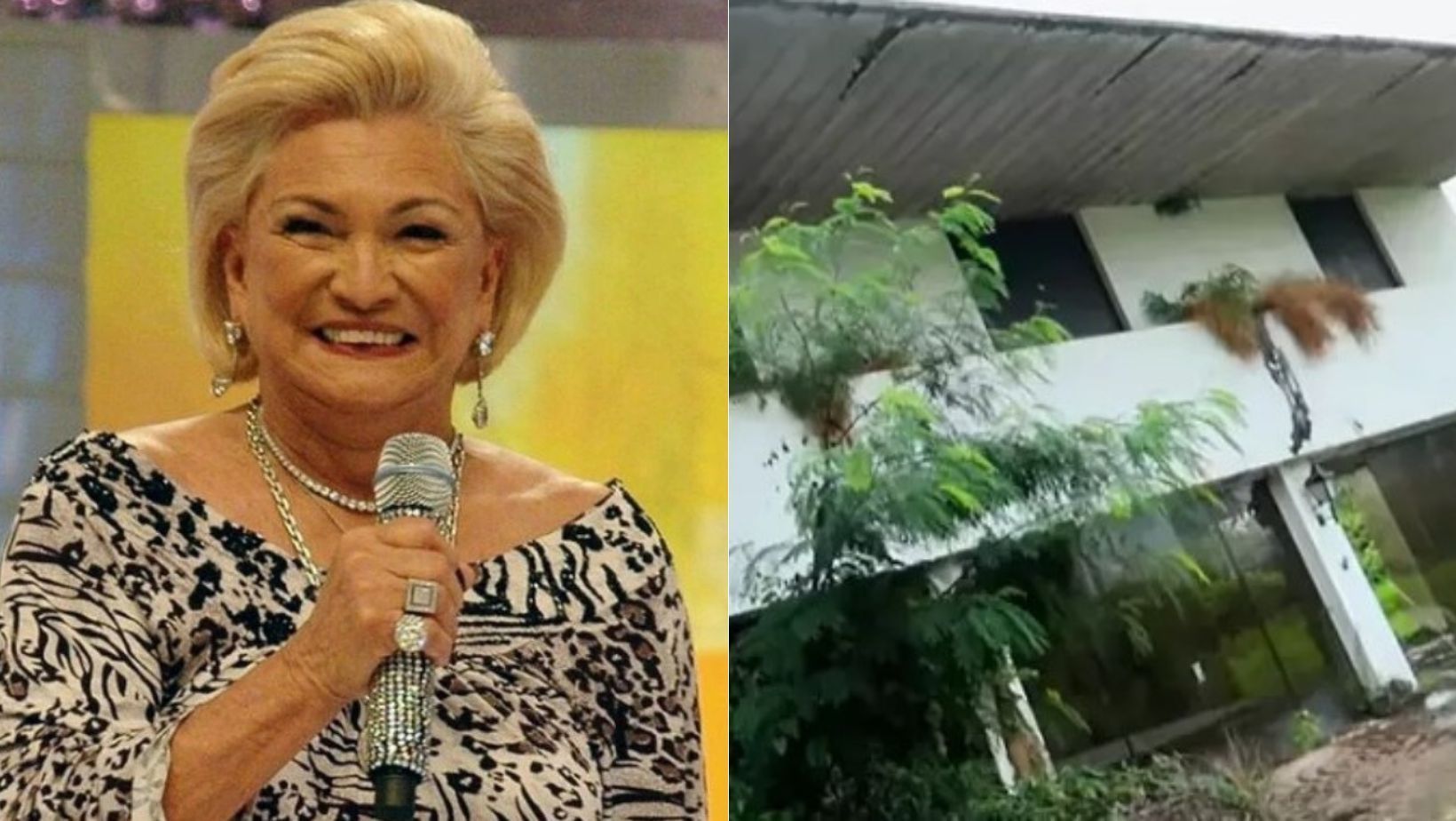 Mansão de Hebe Camargo vai a leilão por valor milionário, não recebe lance e está abandonada; veja fotos