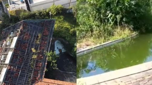 Mansão de Hebe ficou abandonada por anos