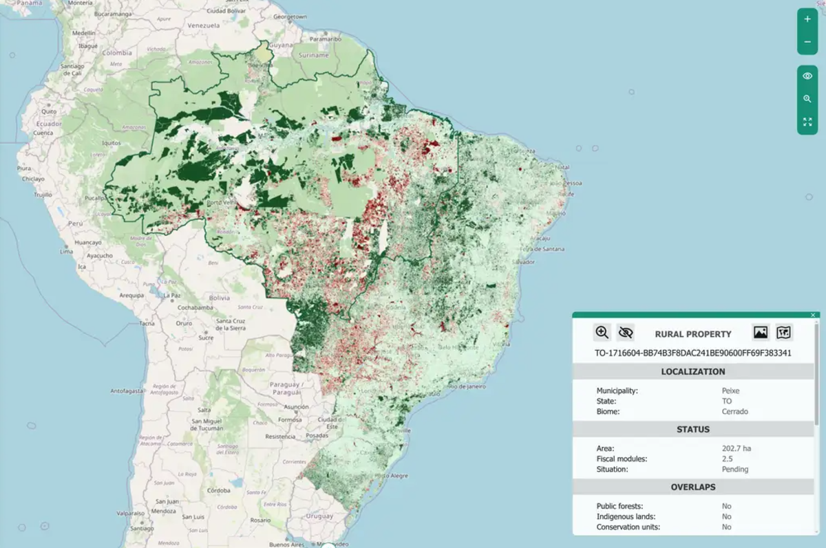 Dados da UFMG apontam que o Brasil tem 95 milhões de hectares à espera de ações de restauração
