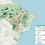 Dados da UFMG apontam que o Brasil tem 95 milhões de hectares à espera de ações de restauração