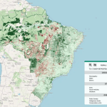 Dados da UFMG apontam que o Brasil tem 95 milhões de hectares à espera de ações de restauração