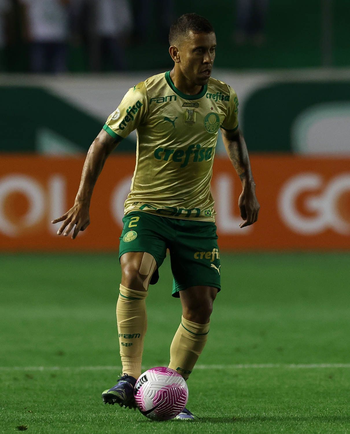 Palmeiras perde até quatro titulares e se preocupa com pendurados