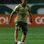 Palmeiras perde até quatro titulares e se preocupa com pendurados