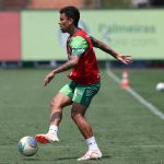 Dupla do Palmeiras segue sem resolução sobre renovação de contrato