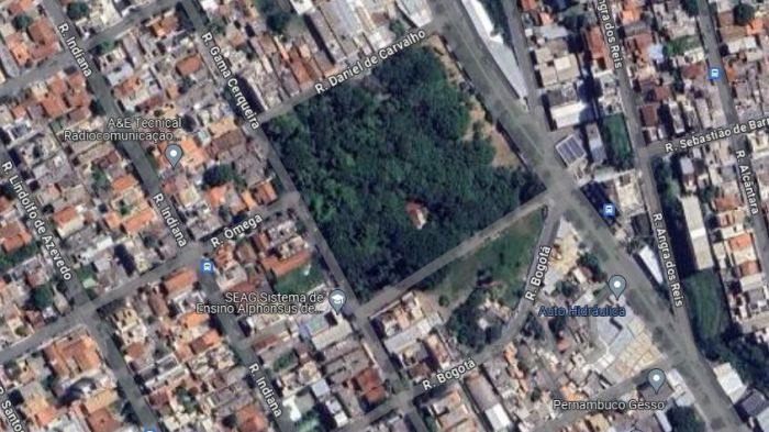 Mata do Jardim América se estende por área de 21 mil m² na região Oeste de Belo Horizonte