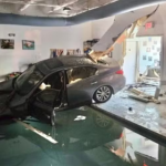 Motorista se engana e carro invade centro de reabilitação animal