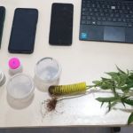 Proteção: suspeito de aliciar menores é preso em Fervedouro (MG)