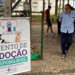 Canil Municipal realiza evento de adoção responsável em Juiz de Fora