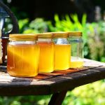Encontro busca soluções para desafios enfrentados por pequenos produtores