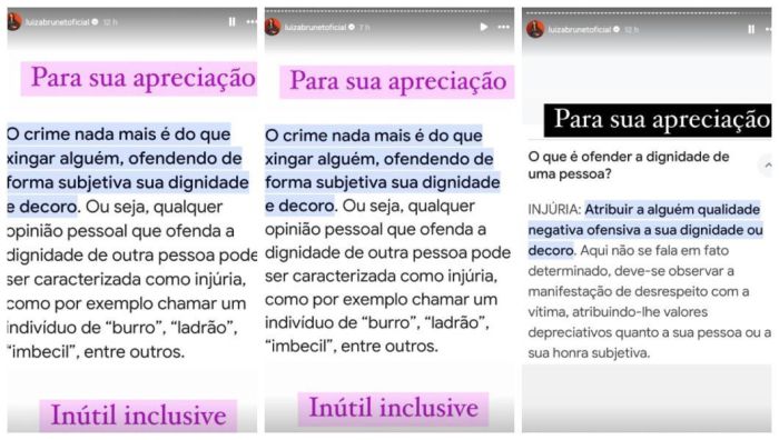 Luiza Brunet acusa Davi de cometer injúria contra Yasmin no BBB 24 Luiza Brunet acusa Davi de cometer injúria contra Yasmin no BBB 24