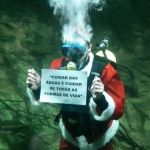 Natal 2024: Papai Noel mergulha em tanque do Aquário de BH neste domingo (15)