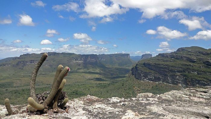 Parque Nacional da Chapada Diamantina