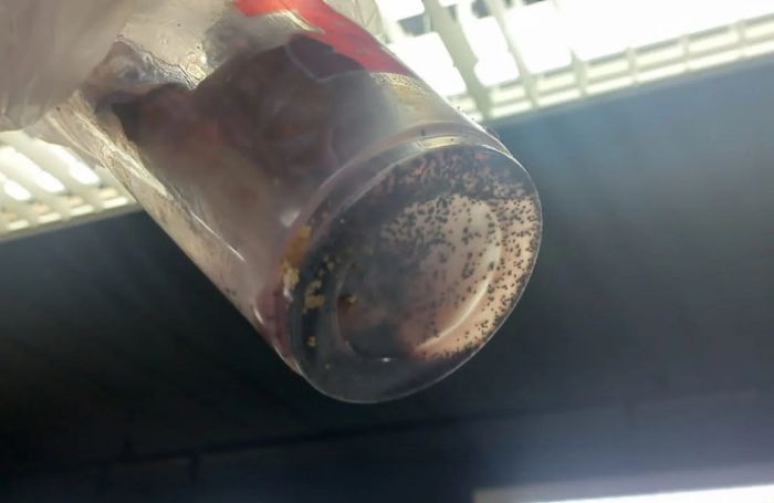 Investigação tenta descobrir se suspeito de matar a ex colocou veneno no milkshake quando se ausentou por 5 minutos.