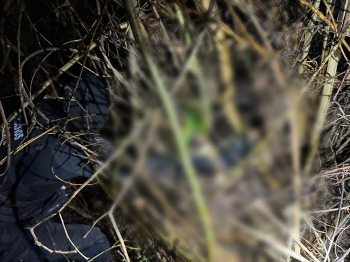 Policiais encontram corpo de mineira em região de mata 