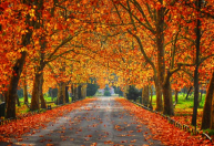 Outono chega com previsão de chuvas na Região dos Inconfidentes