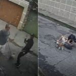 Homem é roubado enquanto passeia com cães em BH; veja vídeo