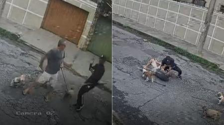 Homem foi roubado enquanto caminhava com cães