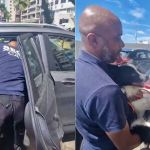 Vídeo: cão é resgatado após ser abandonado dentro de carro no sol no Rio