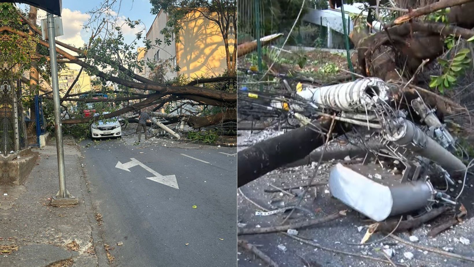 Queda de árvore na Pampulha deixa moradores sem energia há mais de 12 horas