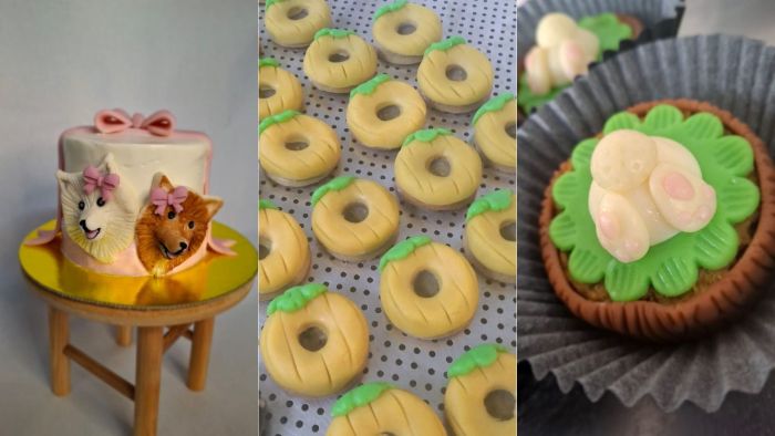 Camilla vende em sua confeitaria pet, bolos, doces e até pirulito para os animais.