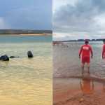 Lancha afunda em Três Marias, e família de BH nada 1,5 km até ilha para se salvar