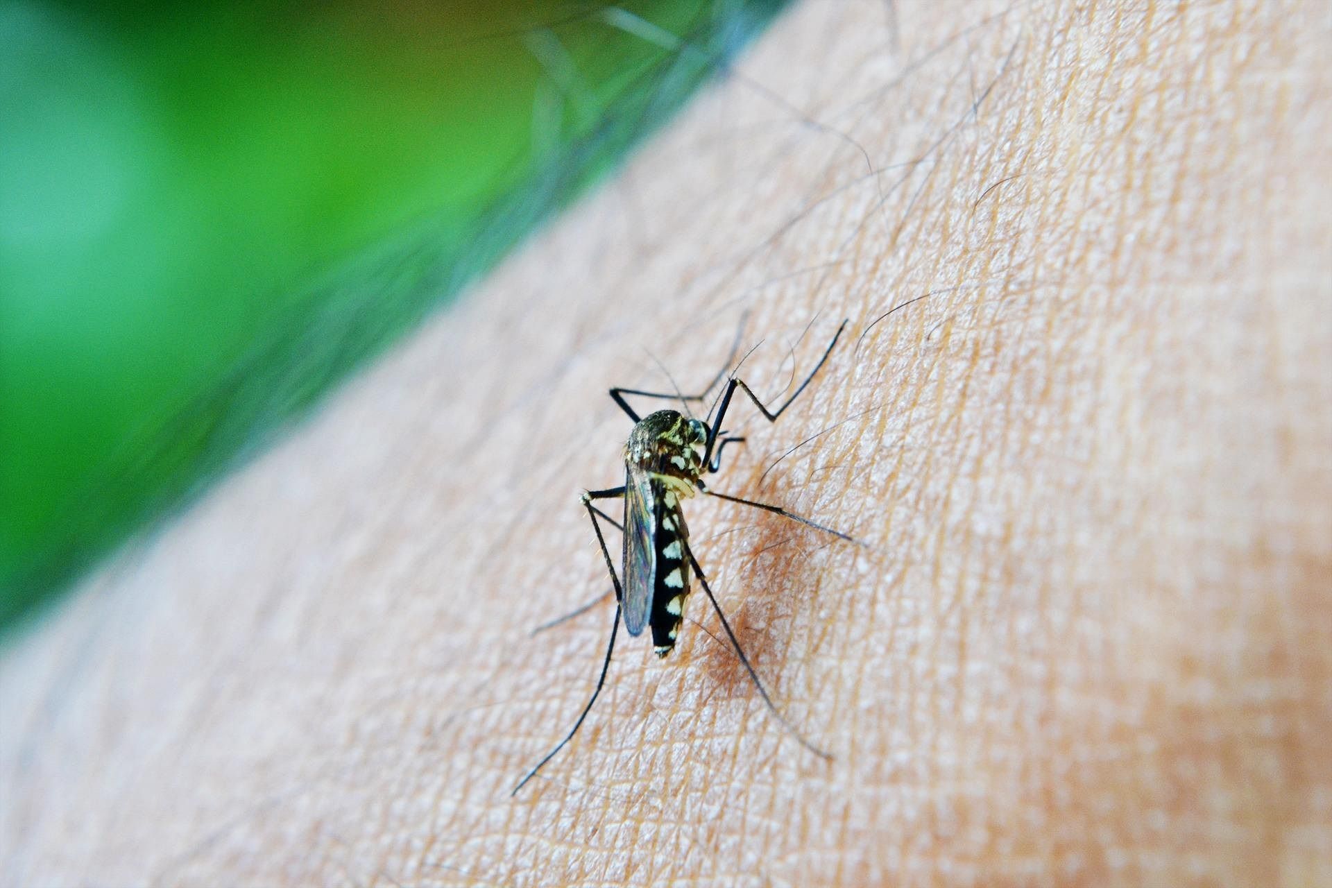 Varginha divulga cronograma de limpeza contra a dengue na próxima semana