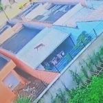 Onça vista na Grande BH: 'As pessoas estão com muito medo de sair', relata morador