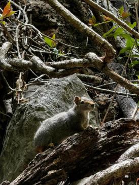 Orgulho de MG no Sertão dos Gerais: Cânion do Vale do Peruaçu pode se tornar o 1º Patrimônio Natural da Humanidade da Unesco do estado