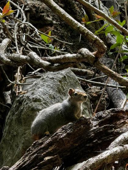 Orgulho de MG no Sertão dos Gerais: Cânion do Vale do Peruaçu pode se tornar o 1º Patrimônio Natural da Humanidade da Unesco do estado