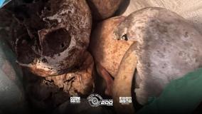 Ossos foram encontrados em imóvel em SP
