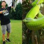 Youtuber sul-africano famoso morre após sofrer picada de uma mamba-verde