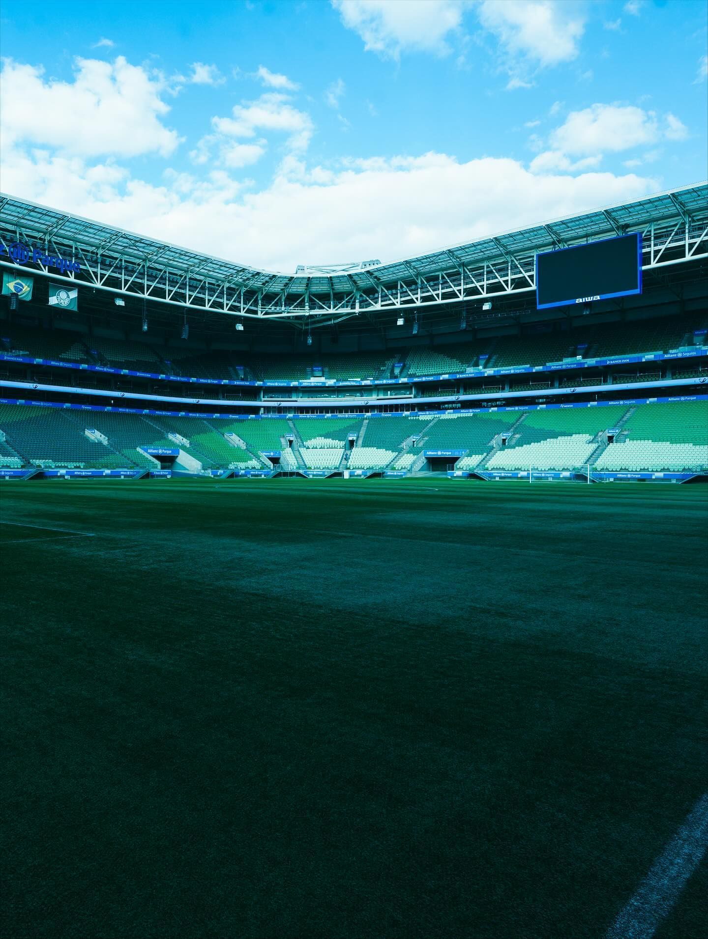 Horário e onde assistir ao vivo Palmeiras x Mirassol, pelo Campeonato Brasileiro