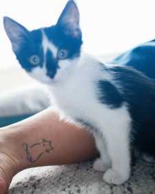 Paolla Oliveira abriu o álbum de fotos com os novos pets