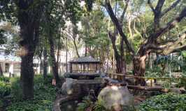 Parque Halfeld em Juiz de Fora