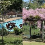 Parque Municipal e da Lajinha retomam atividades após fortes chuvas