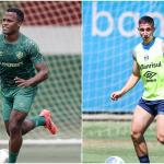 Fluminense x Grêmio: horário e onde assistir ao vivo pela Série A