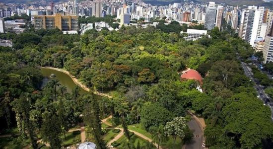 Vista aérea do Parque Municipal em BH, com foco nas árvores do local