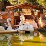 Proprietário dos pedalinhos é preso por estupro de vulnerável no Museu Mariano Procópio em Juiz de Fora