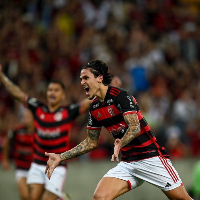 Pedro comemora o gol de empate do Flamengo contra o Fortaleza, no Maracanã