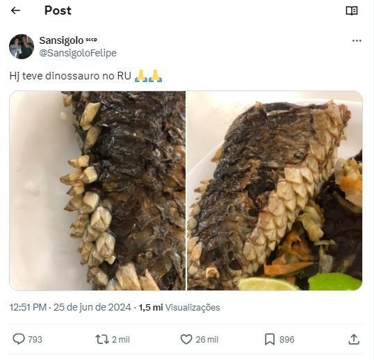 Dinossauro ou tainha? Restaurante da UFSC serve comida “esquisita” e fotos viram meme. Dinossauro ou tainha? Restaurante da UFSC serve comida “esquisita” e fotos viram meme.